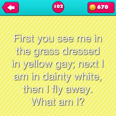 Dandelion