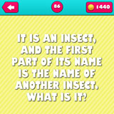  Beetle 