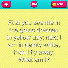  Dandelion 